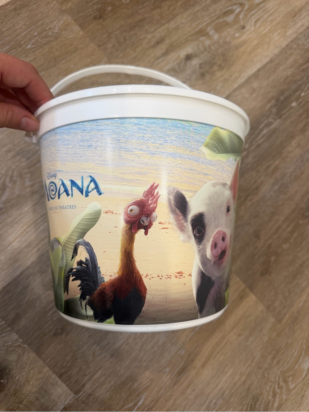 Disney Moana 2026 Movie Theater Collectible Popcorn Bucket Pua Hei Hei